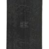 Punta de cultivador 250 x 80 x 12 mm, plana, 1 orificio, válida para Väderstad de Kramp