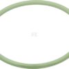 Junta tórica Ø 49,69 x 2,62 mm, 70 shores, Viton verde, Arag
