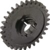 Rueda dentada