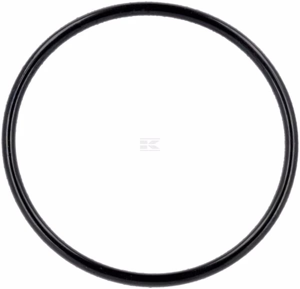 O-Ring 55X3,1 1 O-Ring 55X3,1