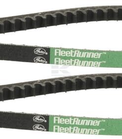 Conjunto de correas
