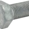 Tornillo 6 Tornillo