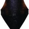 Punta de cultivador 200 x 135 x 8 mm, plana, 1 orificio, válida para Razol