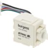 Interruptor 2 Switch