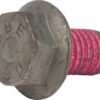 Tornillo