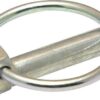 Pin anillo