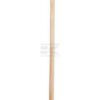 Escoba fibra de palma 45 mm/mango 150 cm