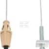 Cable