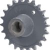 Piñón 1x25