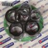 Set recambios bombas Bertolini