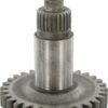 Rueda dentada