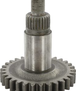 Rueda dentada