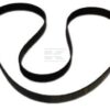 Correa trapezoidal