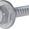 Screw
