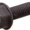 Screw