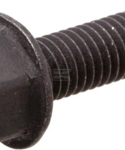 Screw
