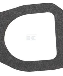 Gasket-intake