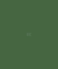Pintura, verde hoja RAL 6002, 1 L