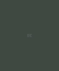 Pintura, verde abeto RAL 6009, 1 L