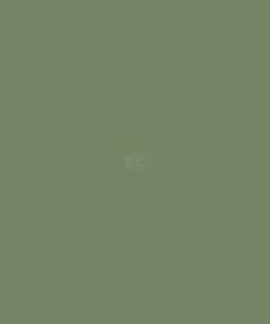 Pintura, verde reseda RAL 6011, 5 L