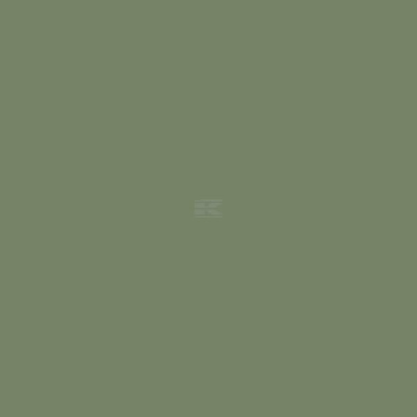 Pintura, verde reseda RAL 6011, 5 L