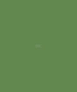 Pintura RAL 6017, verde mayo, 1L, Kramp