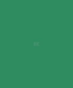 Pintura RAL 6024, verde tráfico, 1L, Kramp