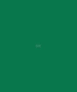 Pintura RAL 6029, verde menta, 1L, Kramp