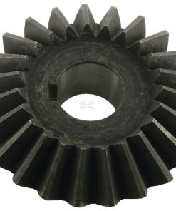 Rueda dentada