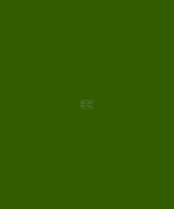 Pintura para BASELIER, color verde, 1 L