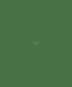 Pintura para BRUNS, verde, 1L