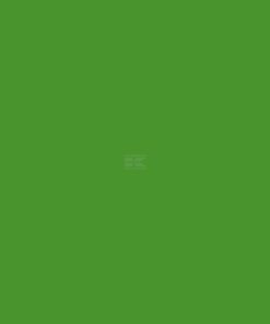 Pintura para DEUTZ-FAHR a partir de 1975, color verde, 1 L