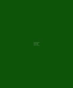 Pintura para DEUTZ-FAHR hasta 1974, color verde, 1 L