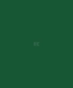 Pintura para DEUTZ-FAHR serie 05, color verde, 1 L
