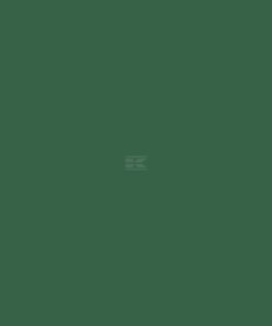 Pintura para FENDT, color verde, 1 L
