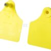 Crotales F09 - M09 25 sets
