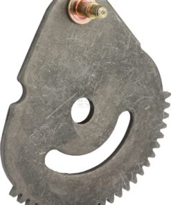 Segmento dentado
