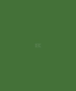 Pintura para HASSIA, verde, 1L