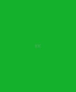 Pintura para HOLARAS, verde, 1L
