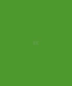 Pintura para HOLDER, verde 1985, 1L