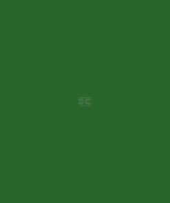 Pintura para KEMPER, verde, 1L