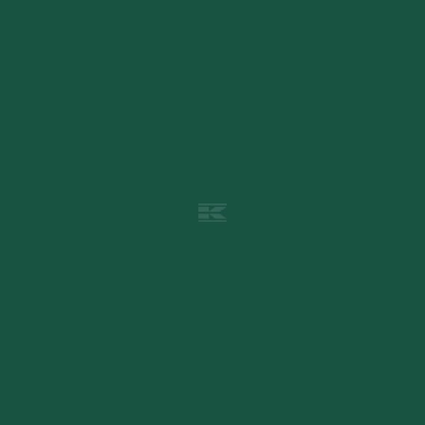 Pintura para KVERNELAND, color verde, 1 L 2 Pintura para KVERNELAND, color verde, 1 L