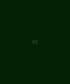 Pintura para NETAGCO, desde 1999, verde oscuro, 1L