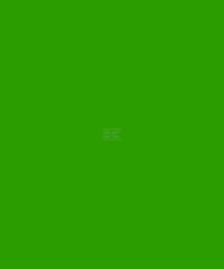 Pintura para NETAGCO, desde 1999, verde, 1L