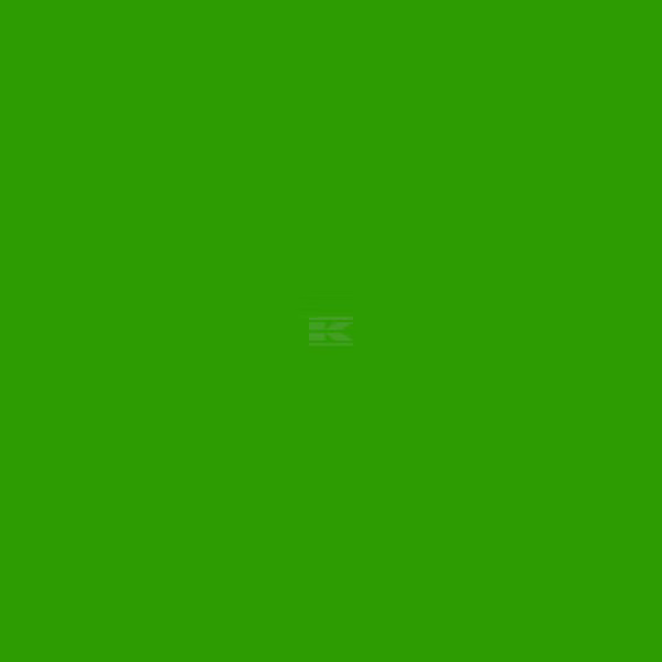 Pintura para NETAGCO, desde 1999, verde, 1L 2 Pintura para NETAGCO, desde 1999, verde, 1L