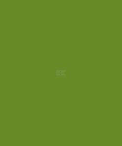 Pintura para STRAUTMANN, desde 1986, verde, 1L
