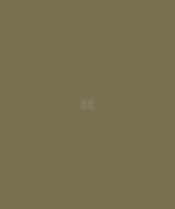 Pintura para STRAUTMANN, verde oliva, 1L