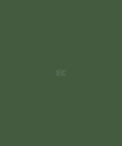 Pintura para WELGER, color verde, 5 L