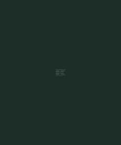 Pintura para ZETOR, color verde, 1 L