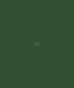 Pintura para FRASER, verde, 5L